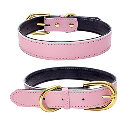 Hundehalsbänder mit AirTag Basic Classic Leder Haustier Halsbänder für Katzen Welpen Kleine Mittlere Hunde Rosa M Hundehalsbänder mit AirTag Basic Classic Leder Haustier Halsbänder für Katzen Welpen Kleine Mittlere Hunde Rosa M von HimyBB
