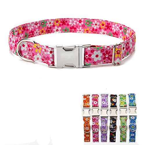 Hundehalsband, Metallschnalle, langlebig, verstellbar, für Haustiere, Katzen, Welpen, weich für groß, Rot Hundehalsband, Metallschnalle, langlebig, verstellbar, für Haustiere, Katzen, Welpen, weich für groß, Rot von HimyBB