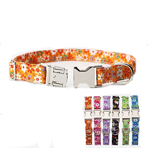 Hundehalsband, Metallschnalle, langlebig, verstellbar, für kleine Katzen, Orange Hundehalsband, Metallschnalle, langlebig, verstellbar, für kleine Katzen, Orange von HimyBB
