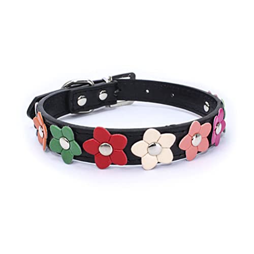 Hundehalsband, bunt, Blume, niedlich, für Mädchen und Katzen, Größe XS, S, M, L Hundehalsband, bunt, Blume, niedlich, für Mädchen und Katzen, Größe XS, S, M, L von HimyBB