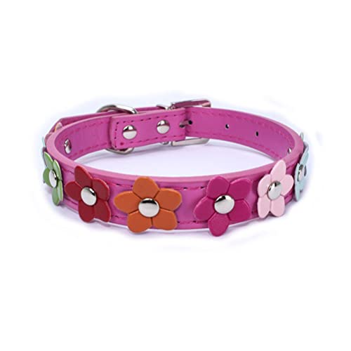 Hundehalsband, bunt, Blume, niedlich, für Mädchen und Katzen, Größe XS, S, M, L Hundehalsband, bunt, Blume, niedlich, für Mädchen und Katzen, Größe XS, S, M, L von HimyBB