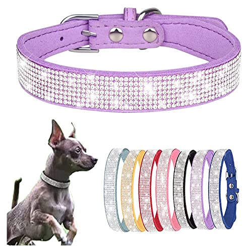 Hundehalsband für kleine Hunde, schillernd, funkelnd, Kristall, Strass, für Welpen, Katzen, Haustiere, Größe XXS, XS, S, M, Haustier, Mädchen, Katze, weiblich, Kätzchen, Violett, Größe L Hundehalsband für kleine Hunde, schillernd, funkelnd, Kristall, Strass, für Welpen, Katzen, Haustiere, Größe XXS, XS, S, M, Haustier, Mädchen, Katze, weiblich, Kätzchen, Violett, Größe L von HimyBB