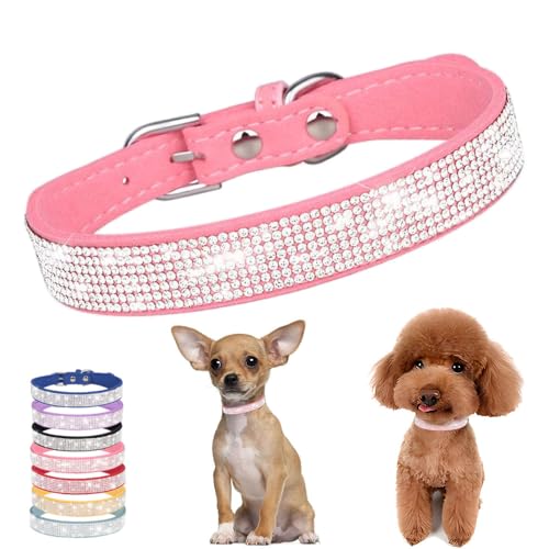 Hundehalsband mit Strasssteinen für kleine Hunde, Strass-Hundehalsband, glitzernd, niedlich, glitzernd, Schmuck, Katzenhalsband für XS, S, M, L, Mädchen, Prinzessin, Haustiere, Welpen, Kätzchen Hundehalsband mit Strasssteinen für kleine Hunde, Strass-Hundehalsband, glitzernd, niedlich, glitzernd, Schmuck, Katzenhalsband für XS, S, M, L, Mädchen, Prinzessin, Haustiere, Welpen, Kätzchen von HimyBB