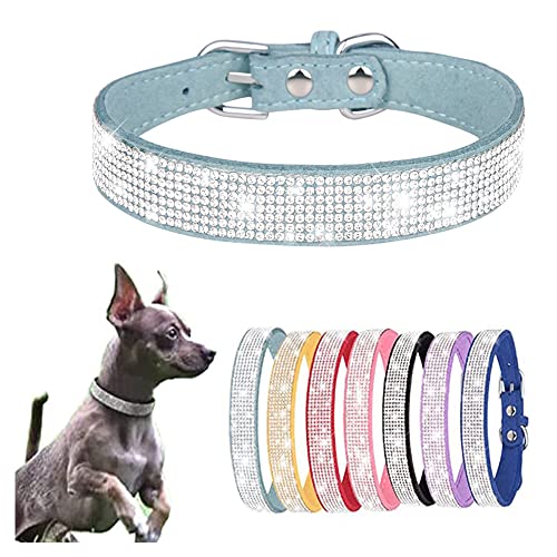 Hundehalsband für mittelgroße Hunde, Strass-Hundehalsband, glitzernd, niedlich, glitzernd, Schmuck, Katzenhalsband für XS, S, M, L, Mädchen, Prinzessin, Haustiere, Welpen, Kätzchen Hundehalsband für mittelgroße Hunde, Strass-Hundehalsband, glitzernd, niedlich, glitzernd, Schmuck, Katzenhalsband für XS, S, M, L, Mädchen, Prinzessin, Haustiere, Welpen, Kätzchen von HimyBB