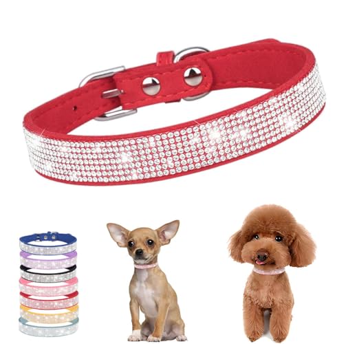 Hundehalsband für kleine Hündinnen, Strass-Hundehalsband, glitzernd, niedlich, glitzernd, Schmuck, Katzenhalsband für XXS, XS, S, M, L, Mädchen, Prinzessin, Haustiere, Welpen, Kätzchen Hundehalsband für kleine Hündinnen, Strass-Hundehalsband, glitzernd, niedlich, glitzernd, Schmuck, Katzenhalsband für XXS, XS, S, M, L, Mädchen, Prinzessin, Haustiere, Welpen, Kätzchen von HimyBB