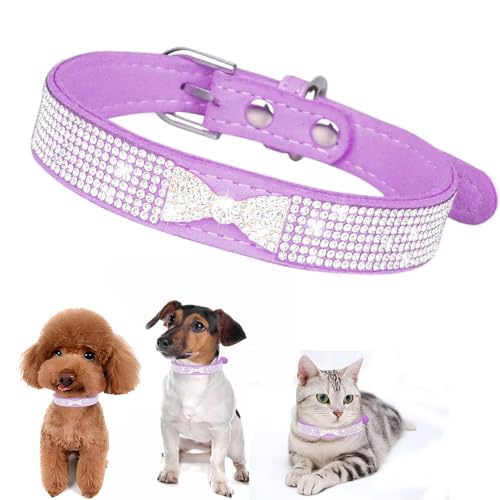 Hundehalsband für kleine Hunde, verstellbar, Leder, glitzernd, Violett, XS, Welpenhalsband, Strass-Hundehalsband für kleine, mittelgroße und große Hunde von HimyBB