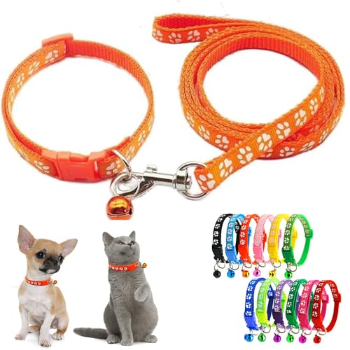 Hundehalsband für kleine Hunde mit Glöckchen, Nylon, reflektierend, Pfotenabdruck, für Jungen, Mädchen, XXS, S, Katze, Tierstreu, kleines Kätzchen, Orange von HimyBB