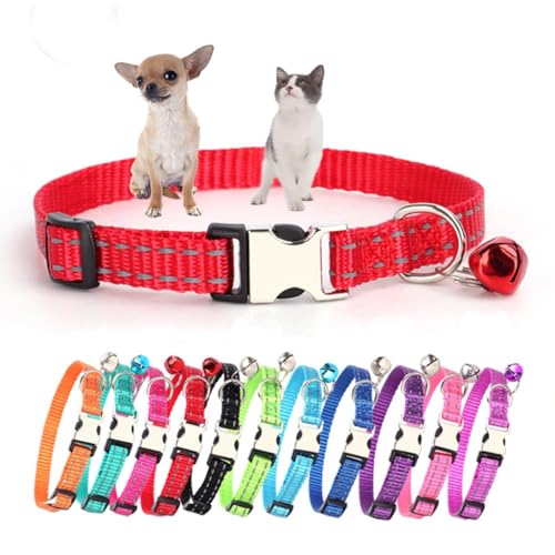 Hundehalsband mit Glöckchen, reflektierendes Sicherheits-Halsband aus weichem Nylon, verstellbar, für XS, kleine Welpen, Hunde, Kätzchen, Rot, Größe XS Hundehalsband mit Glöckchen, reflektierendes Sicherheits-Halsband aus weichem Nylon, verstellbar, für XS, kleine Welpen, Hunde, Kätzchen, Rot, Größe XS von HimyBB