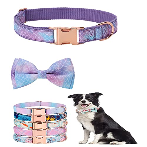 Hundehalsband mit Schleife, niedliche und abnehmbare Fliege für Hunde, verstellbares Hundehalsband mit Fliege für kleine, mittelgroße und große Mädchen und Jungen, weibliches oder männliches Geschenk M Lila Hundehalsband mit Schleife, niedliche und abnehmbare Fliege für Hunde, verstellbares Hundehalsband mit Fliege für kleine, mittelgroße und große Mädchen und Jungen, weibliches oder männliches Geschenk M Lila von HimyBB