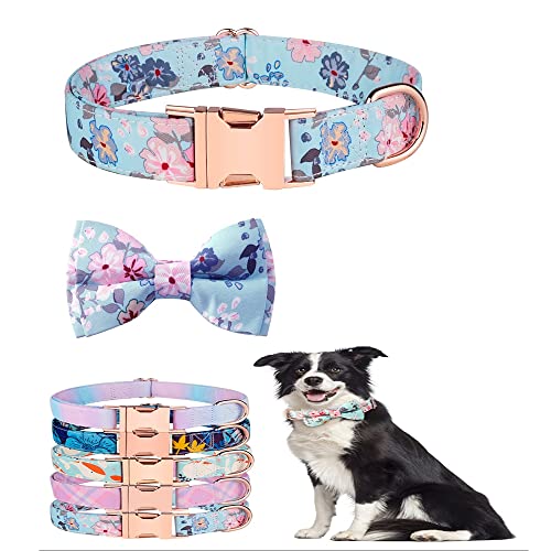 Hundehalsband mit Schleife - niedliche und abnehmbare Fliege für Hunde, verstellbares Hundehalsband mit Fliege für kleine, mittelgroße und große Mädchen und Jungen, weibliche oder männliche Geschenke S blaue Blume Hundehalsband mit Schleife - niedliche und abnehmbare Fliege für Hunde, verstellbares Hundehalsband mit Fliege für kleine, mittelgroße und große Mädchen und Jungen, weibliche oder männliche Geschenke S blaue Blume von HimyBB
