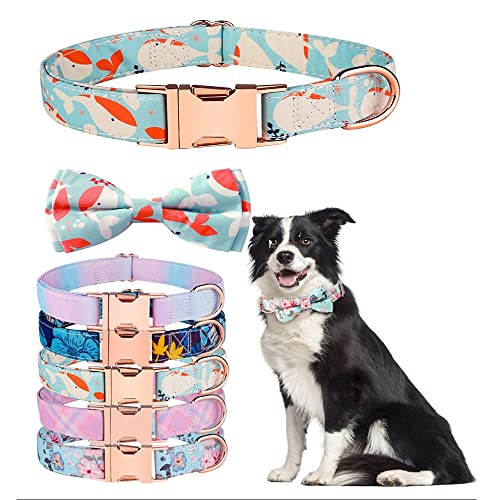 Hundehalsband mit Schleife, niedliche und abnehmbare Fliege für Hunde, verstellbares Hundehalsband für kleine, mittelgroße und große Mädchen und Jungen, Geschenk für Damen oder Herren, Größe S, Orange Hundehalsband mit Schleife, niedliche und abnehmbare Fliege für Hunde, verstellbares Hundehalsband für kleine, mittelgroße und große Mädchen und Jungen, Geschenk für Damen oder Herren, Größe S, Orange von HimyBB