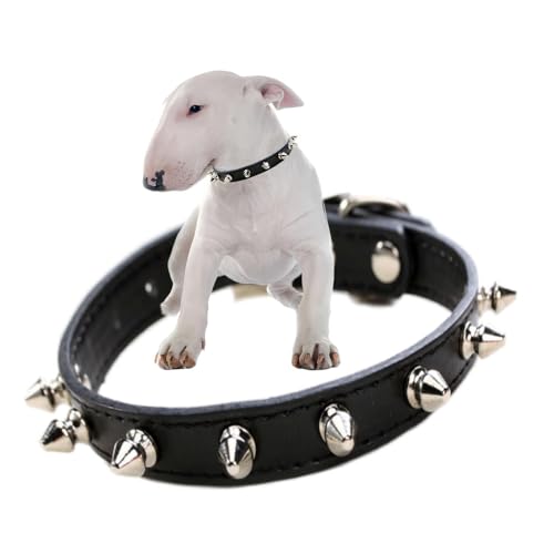 Hundehalsband mit Stacheln, weich, Nieten, Nieten, Katzenhalsband, verstellbar, für Mädchen, Jungen, kleine Rassen, Haustier-Teetasse, klein, Welpen, Kätzchen, Schwarz, Größe XS von HimyBB