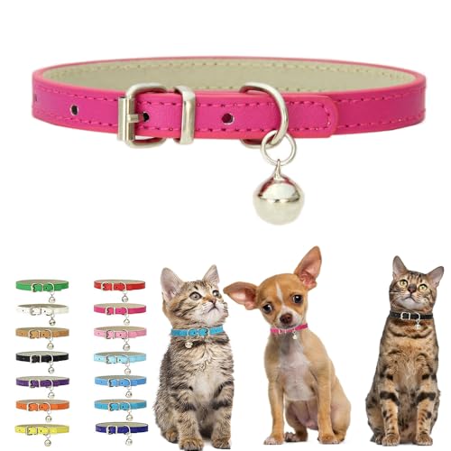 Kätzchenhalsband mit Glöckchen, weiches PU-Leder, verstellbare Schnalle, für XXS, XS, XS, XS, M, winzige weibliche Männer, Jungen, Mädchen, Haustiere, Welpen, Katzen, Teetasse, Yorkie, Größe XXS, Hot Kätzchenhalsband mit Glöckchen, weiches PU-Leder, verstellbare Schnalle, für XXS, XS, XS, XS, M, winzige weibliche Männer, Jungen, Mädchen, Haustiere, Welpen, Katzen, Teetasse, Yorkie, Größe XXS, Hot von HimyBB