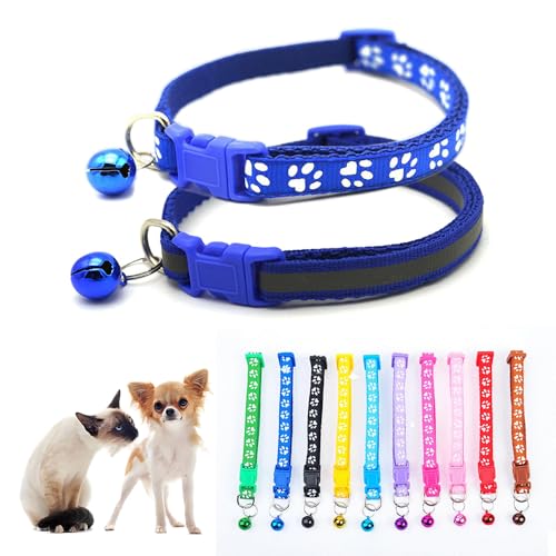 Katzenhalsband mit Glöckchen, einfaches Hunde- und Katzenhalsband, Katzenhalsband oder Sicherheitsgurte für XXS, kleine Teetasse, Haustiere, Hunde, Mädchen, Kätzchen, Jungen, Kleintiere, Blau, 2 Stück Katzenhalsband mit Glöckchen, einfaches Hunde- und Katzenhalsband, Katzenhalsband oder Sicherheitsgurte für XXS, kleine Teetasse, Haustiere, Hunde, Mädchen, Kätzchen, Jungen, Kleintiere, Blau, 2 Stück von HimyBB