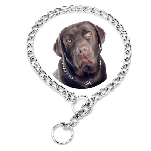 Kette Choke Halsband für Hunde, Silber XS Metall Slip Link Training Heavy Duty Hund Choker Halsband Martingale Welpenhalsbänder für XXS XS Small Medium Large Big XL Rasse Hunde von HimyBB
