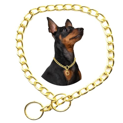 Kette Choke Halsband für Hunde, Silber XS Metall Slip Link Training Heavy Duty Hund Choker Halsband Martingale Welpenhalsbänder für XXS XS Small Medium Large Big XL Rasse Hunde von HimyBB