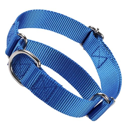 Martingal-Halsband für Hunde, Hundewürgehalsband Escape Proof Keine Zug Cinch Hundetrainingshalsbänder einstellbar für kleine mittlere große Rasse Haustier Hunde blau S von HimyBB