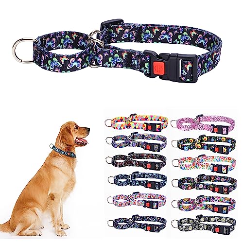 Martingale-Halsband, hochwertiges rutschfestes Martingal-Halsband für kleine Hunde, ideal für Whippets, Windhunde und mehr, Größe M Martingale-Halsband, hochwertiges rutschfestes Martingal-Halsband für kleine Hunde, ideal für Whippets, Windhunde und mehr, Größe M von HimyBB