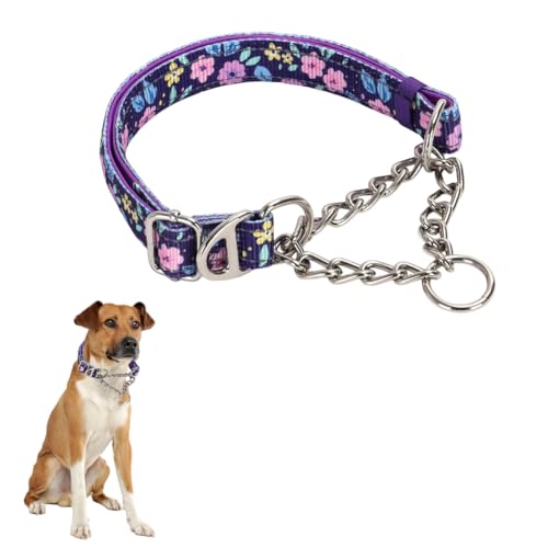 Martingale-Halsband aus Edelstahl für Hunde kein Ziehen Slip Cinch-Training ausbruchsicher, strapazierfähig, für kleine, mittelgroße Haustiere, Jungen, männliche Hunde Martingale-Halsband aus Edelstahl für Hunde kein Ziehen Slip Cinch-Training ausbruchsicher, strapazierfähig, für kleine, mittelgroße Haustiere, Jungen, männliche Hunde von HimyBB