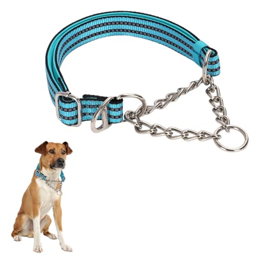 Martingale-Halsband aus Edelstahl für Hunde kein Ziehen Slip Cinch-Training ausbruchsicher, strapazierfähig, für kleine, mittelgroße Haustiere, Jungen, männliche Hunde Martingale-Halsband aus Edelstahl für Hunde kein Ziehen Slip Cinch-Training ausbruchsicher, strapazierfähig, für kleine, mittelgroße Haustiere, Jungen, männliche Hunde von HimyBB