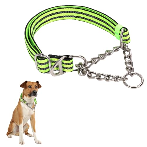 Martingale-Halsband aus Edelstahl für Hunde kein Ziehen Slip Cinch-Training ausbruchsicher, strapazierfähig, für kleine, mittelgroße Haustiere, Jungen, männliche Hunde Martingale-Halsband aus Edelstahl für Hunde kein Ziehen Slip Cinch-Training ausbruchsicher, strapazierfähig, für kleine, mittelgroße Haustiere, Jungen, männliche Hunde von HimyBB