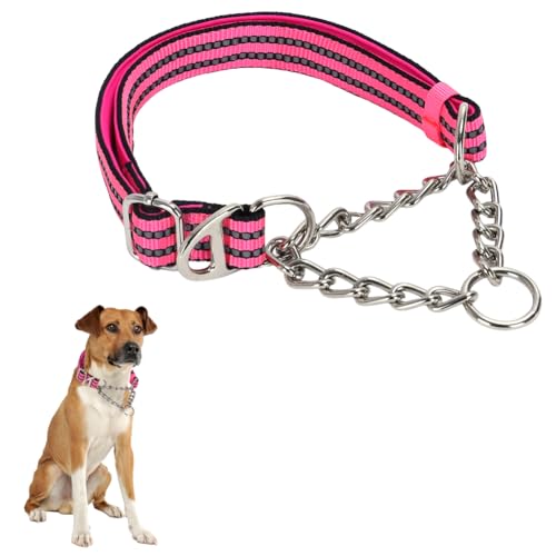 Martingale-Halsband aus Edelstahl für Hunde kein Ziehen Slip Cinch-Training ausbruchsicher, strapazierfähig, für kleine, mittelgroße Haustiere, Jungen, männliche Hunde Martingale-Halsband aus Edelstahl für Hunde kein Ziehen Slip Cinch-Training ausbruchsicher, strapazierfähig, für kleine, mittelgroße Haustiere, Jungen, männliche Hunde von HimyBB