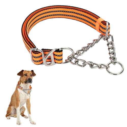 Martingale-Halsband aus Edelstahl für Hunde kein Ziehen Slip Cinch-Training ausbruchsicher, strapazierfähig, für kleine, mittelgroße Haustiere, Jungen, männliche Hunde Martingale-Halsband aus Edelstahl für Hunde kein Ziehen Slip Cinch-Training ausbruchsicher, strapazierfähig, für kleine, mittelgroße Haustiere, Jungen, männliche Hunde von HimyBB