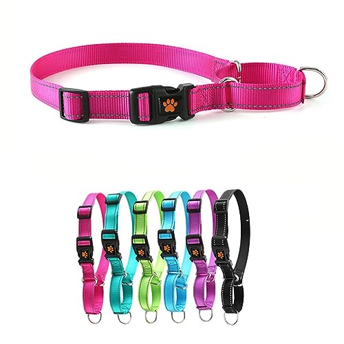 Martingale-Halsband für Hunde mit Schnellverschluss-Schnalle, reflektierendes, strapazierfähiges Welpenhalsband für Sicherheit, verstellbare Hundehalsbänder aus Nylon für kleine, mittelgroße und große von HimyBB
