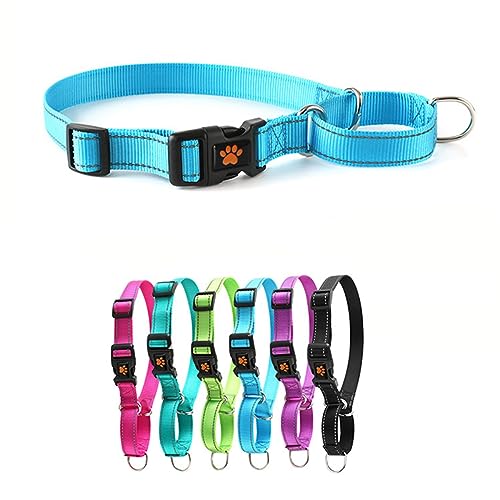Martingale-Halsband für Hunde mit Schnellverschluss-Schnalle, reflektierendes, strapazierfähiges Welpenhalsband für Sicherheit, verstellbare Hundehalsbänder aus Nylon für kleine, mittelgroße und große Martingale-Halsband für Hunde mit Schnellverschluss-Schnalle, reflektierendes, strapazierfähiges Welpenhalsband für Sicherheit, verstellbare Hundehalsbänder aus Nylon für kleine, mittelgroße und große von HimyBB