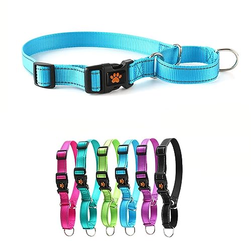 Martingale-Halsband für Hunde mit Schnellverschluss-Schnalle, reflektierendes, strapazierfähiges Welpenhalsband für Sicherheit, verstellbare Hundehalsbänder aus Nylon für kleine, mittelgroße und große von HimyBB