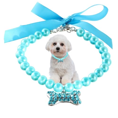 Perlen-Halskette, Hundehalsband, blaue Strasssteine, Katzenhalsband, Diamant-Kristall, Prinzessin, für XS, S, kleine Welpen, Kätzchen, Haustiere Perlen-Halskette, Hundehalsband, blaue Strasssteine, Katzenhalsband, Diamant-Kristall, Prinzessin, für XS, S, kleine Welpen, Kätzchen, Haustiere von HimyBB
