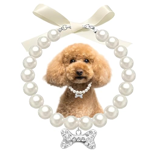 Perlen-Halskette für Hunde, weiße Diamant-Kristalle, glitzernde Strasssteine, Knochen, Katzenhalsband, Schmuck, Mädchen für XS, S, kleine Welpen, Kätzchen, Haustiere Perlen-Halskette für Hunde, weiße Diamant-Kristalle, glitzernde Strasssteine, Knochen, Katzenhalsband, Schmuck, Mädchen für XS, S, kleine Welpen, Kätzchen, Haustiere von HimyBB