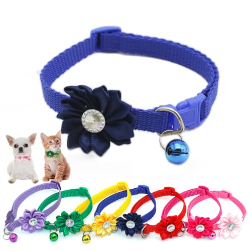 Welpenhalsband, blaue Blume, Halskette für Chihuahua, Yorkie, Haustiere, Katzen, extra kleine Hunde, weiblich, Welpen, Yorkie, Blau Welpenhalsband, blaue Blume, Halskette für Chihuahua, Yorkie, Haustiere, Katzen, extra kleine Hunde, weiblich, Welpen, Yorkie, Blau von HimyBB