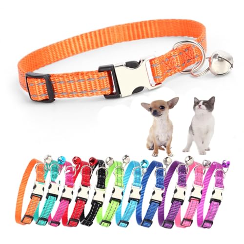 Welpenhalsband mit Glöckchen, einfaches und reflektierendes Katzenhalsband mit Glöckchen, für XXS, XS, kleine Haustiere, Jungen, kleine Kätzchen, Mädchen, Tier, Orange, XS Welpenhalsband mit Glöckchen, einfaches und reflektierendes Katzenhalsband mit Glöckchen, für XXS, XS, kleine Haustiere, Jungen, kleine Kätzchen, Mädchen, Tier, Orange, XS von HimyBB