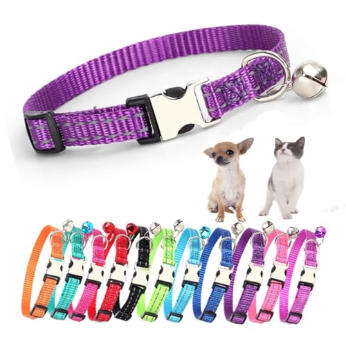 Welpenhalsband mit Glöckchen, einfaches und reflektierendes Katzenhalsband mit Glöckchen für XXS, XS, kleine Haustiere, Jungen, kleine Kätzchen, Mädchen, Tier, Lila, XS Welpenhalsband mit Glöckchen, einfaches und reflektierendes Katzenhalsband mit Glöckchen für XXS, XS, kleine Haustiere, Jungen, kleine Kätzchen, Mädchen, Tier, Lila, XS von HimyBB