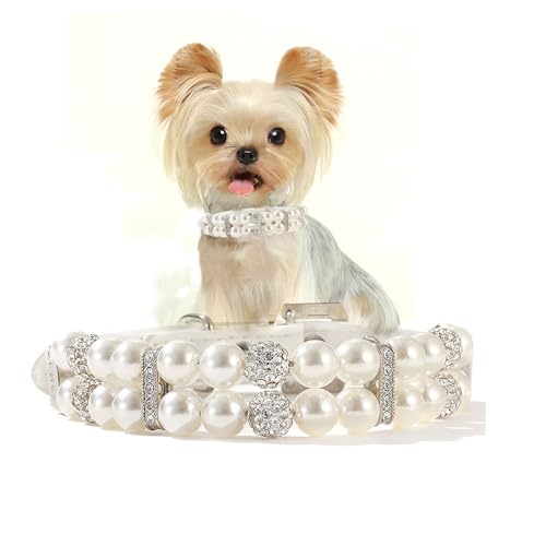 White Pearl Hundehalsbänder für kleine Hunde, Mädchen, Perlen-Katzenhalsband, PU-Leder, Hundehalskette mit Kristalldiamant-Strass, für Welpen, Kätzchen, XS, kleine, mittelgroße Hunde, Hochzeit und White Pearl Hundehalsbänder für kleine Hunde, Mädchen, Perlen-Katzenhalsband, PU-Leder, Hundehalskette mit Kristalldiamant-Strass, für Welpen, Kätzchen, XS, kleine, mittelgroße Hunde, Hochzeit und von HimyBB