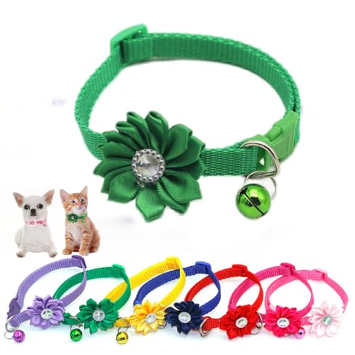 XS Hundehalsband für Mädchen, Blumen-Halskette für Chihuahua, Yorkie, Haustiere, Katzen, extra kleine Hunde, weiblich, Welpen, Yorkie, Grün XS Hundehalsband für Mädchen, Blumen-Halskette für Chihuahua, Yorkie, Haustiere, Katzen, extra kleine Hunde, weiblich, Welpen, Yorkie, Grün von HimyBB