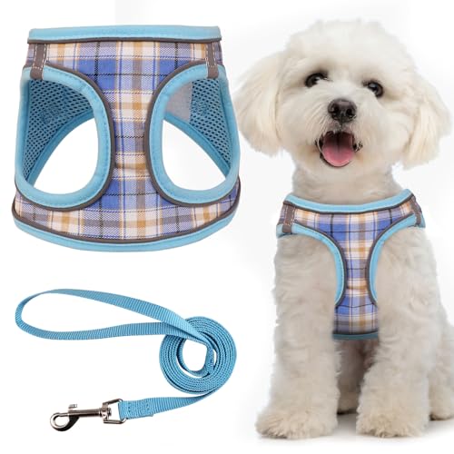 Hundegeschirr für kleine Hunde, kleine Hunde, Welpengeschirr, atmungsaktives Netzgewebe, reflektierend, verstellbare Sicherheitsschnalle, XS, Hundegeschirr, Welpengeschirr und Leine, Set (Blau und Hundegeschirr für kleine Hunde, kleine Hunde, Welpengeschirr, atmungsaktives Netzgewebe, reflektierend, verstellbare Sicherheitsschnalle, XS, Hundegeschirr, Welpengeschirr und Leine, Set (Blau und von Hinialver