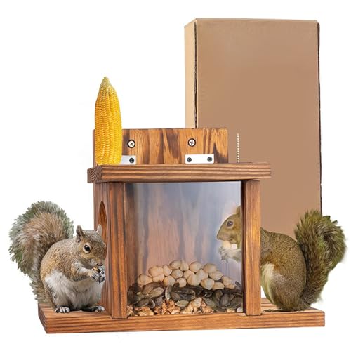 Eichhörnchen-Futterspender für draußen Futterspender aus natürlichem Holz mit sichtbarer Vorderseite leicht zu befüllender Eichhörnchen-Hauskasten zur Wandmontage mit Klappdeckel für Mais Getreide von Hintyne