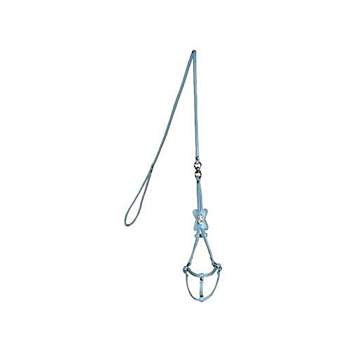 Hip Doggie Hundegeschirr, Knochenmotiv, Größe XS, Blau Hip Doggie Hundegeschirr, Knochenmotiv, Größe XS, Blau von Hip Doggie