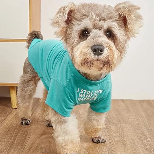 Niedliche Hundekleidung, Hunde-T-Shirt für mittelgroße Hunde. Hundekleidung für kleine Hunde, Mädchen, Jungen, Welpen. Atmungsaktives, weiches Hunde-Kostüm, Brust ~ 45.7 EU cm, Aqua) von HipGirl
