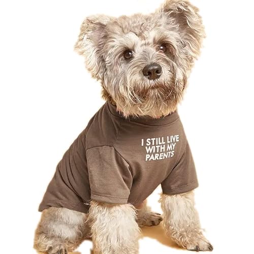 Niedliche Hundekleidung, Hunde-T-Shirt für mittelgroße Hunde. Hundekleidung für kleine Hunde, Mädchen, Jungen, Welpen. Atmungsaktives, weiches Hunde-Kostüm, Haustier-Pullover, Brust 54.6 cm, Khaki) Niedliche Hundekleidung, Hunde-T-Shirt für mittelgroße Hunde. Hundekleidung für kleine Hunde, Mädchen, Jungen, Welpen. Atmungsaktives, weiches Hunde-Kostüm, Haustier-Pullover, Brust 54.6 cm, Khaki) von HipGirl