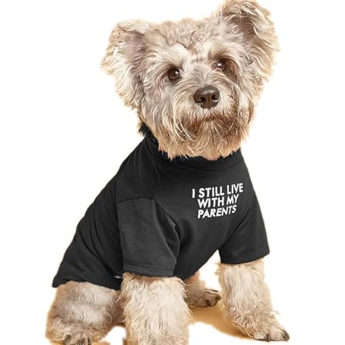 Niedliche Hundekleidung, Hunde-T-Shirt für mittelgroße Hunde. Hundekleidung für kleine Hunde, Mädchen, Jungen, Welpen. Atmungsaktives, weiches Hundekostüm, Haustierpullover, Katzenpullover (S (4 ~ 3,6 Niedliche Hundekleidung, Hunde-T-Shirt für mittelgroße Hunde. Hundekleidung für kleine Hunde, Mädchen, Jungen, Welpen. Atmungsaktives, weiches Hundekostüm, Haustierpullover, Katzenpullover (S (4 ~ 3,6 von HipGirl