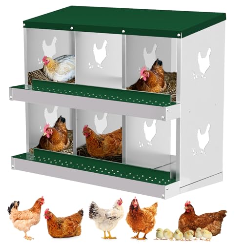Hühner Nistkasten, 6 Fach Metall Hühner Nistkästen für Hühnerstall, Einfache Eiersammlung, Einfache Reinigung, Hühnerlegeboxen für Hühner, Grün Hühner Nistkasten, 6 Fach Metall Hühner Nistkästen für Hühnerstall, Einfache Eiersammlung, Einfache Reinigung, Hühnerlegeboxen für Hühner, Grün von Hipicute