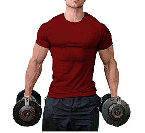 Hippolo Männer Pure Cotton Fitness T-Shirt Muskel Body Shirt Kurzarm (L, Burgund) von Hippolo