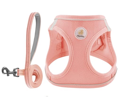 Hipubby Hundegeschirr mit Leine, verstellbares Hundegeschirr ohne Ziehen, weiches Netzgewebe, reflektierend, Welpenweste für Spaziergänge, Laufen, Training, kleine, mittelgroße und große Hunde Hipubby Hundegeschirr mit Leine, verstellbares Hundegeschirr ohne Ziehen, weiches Netzgewebe, reflektierend, Welpenweste für Spaziergänge, Laufen, Training, kleine, mittelgroße und große Hunde von Hipubby