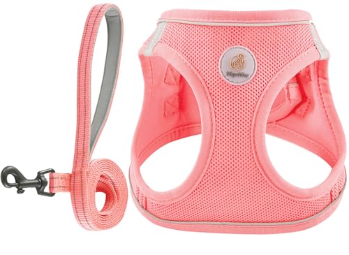 Hipubby Hundegeschirr mit Leine, verstellbares Hundegeschirr ohne Ziehen, weiches Netzgewebe, reflektierend, Welpenweste für Spaziergänge, Laufen, Training, kleine, mittelgroße und große Hunde Hipubby Hundegeschirr mit Leine, verstellbares Hundegeschirr ohne Ziehen, weiches Netzgewebe, reflektierend, Welpenweste für Spaziergänge, Laufen, Training, kleine, mittelgroße und große Hunde von Hipubby