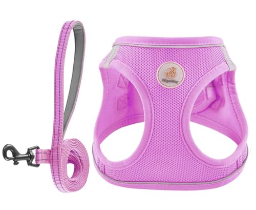 Hipubby Hundegeschirr und Leine, kein Ziehen, weiches Netzgewebe, Welpengeschirr für kleine und mittelgroße Hunde, Katzen, verstellbar, reflektierend, mit Schnalle und doppelten D-Ringen, Lila, M von Hipubby