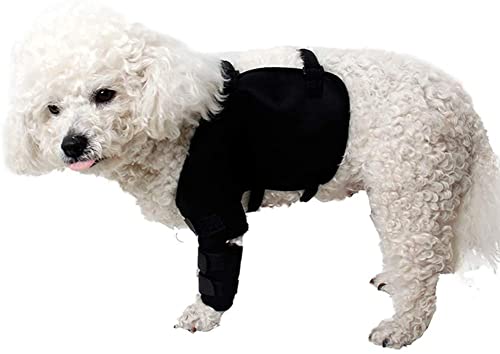 Schwarze Hunde-Kniebandage, Hunde-Vorderbein-Unterstützung, Hund, Hock-Unterstützung, Heilung und Vorbeugung von Verletzungen, Verlust der Stabilität durch Arthritis (XL, Q-Links) von HirrWill