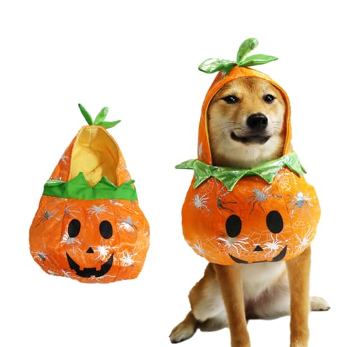 Hiseng Halloween Hundekostüm, Kürbis Dekoration Hundemantel, Lustiges Haustierkostüm, Haustier Party Anzug, Hundekostüm für Kleine, Mittelgroße und Große Hunde (L,Orange) von Hiseng